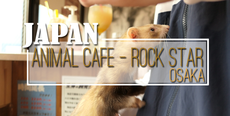 Animal Cafe ROCK STAR Osaka